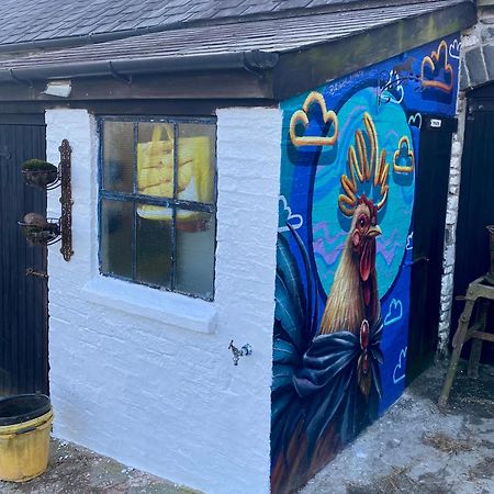 Five Saints Farmhouse B&B Pumpsaint Экстерьер фото